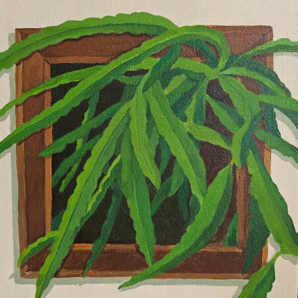 Dragonfruit Tree, Bursting From Frame